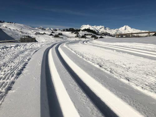 Ko?a Ojstrica - Velika Planina