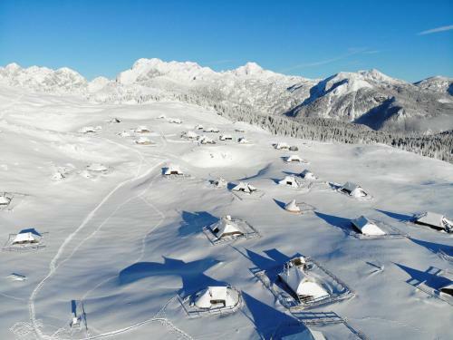 Ko?a Ojstrica - Velika Planina