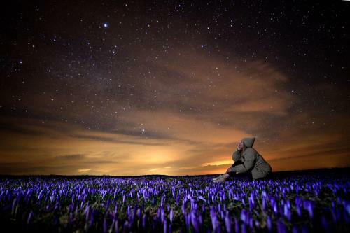 Ko?a Ojstrica - Velika Planina