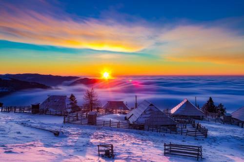 Ko?a Ojstrica - Velika Planina