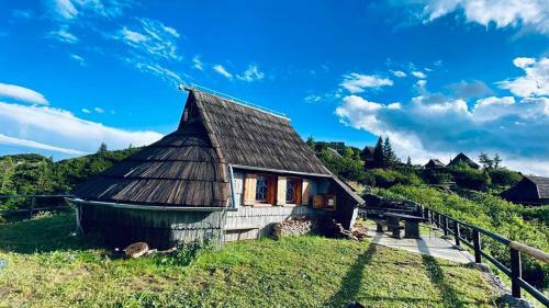 Ko?a Ojstrica - Velika Planina