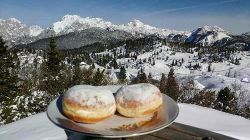 Ko?a Ojstrica - Velika Planina