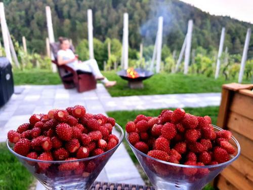 Vineyard Cottage Matej