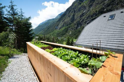 Apartamento House Dormica