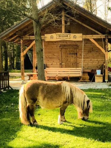 Ran? Mackadam Ranch Mackadam