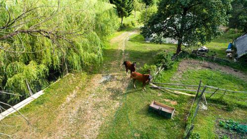 Apartment Organic Farm Hvadnik