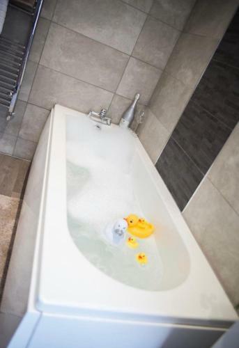 Buchanan House Sasco Apartments