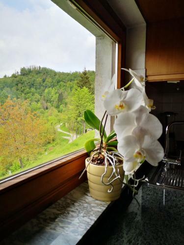 Apartment Vrhouc