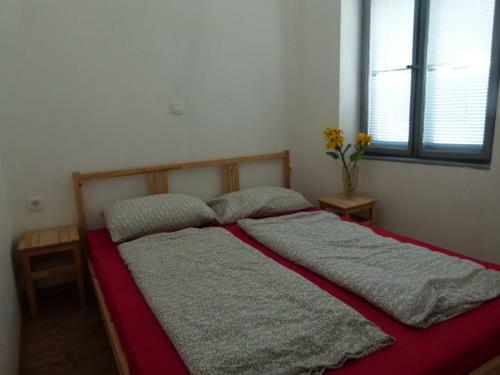 Apartment Soca Tolmin