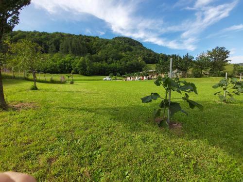 Glamping Hi?ke Petrin