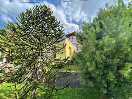 Apartment 7 - In The Heart Of So?a Valley