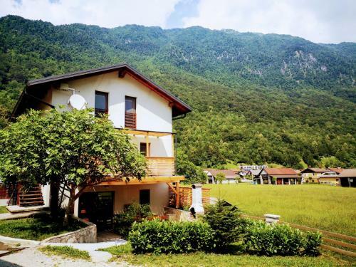 Apartment House Blazar