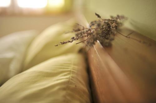 Apartment House Blazar