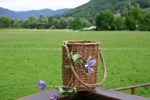 Apartment House Blazar