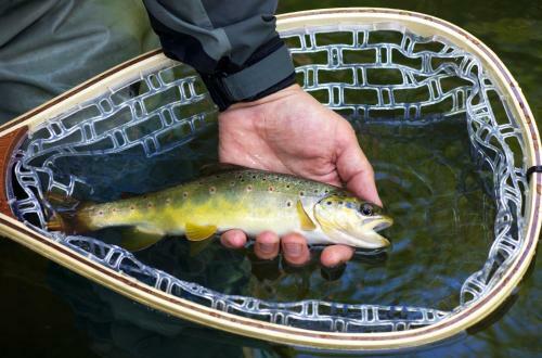 Apartamento The Bears Lair