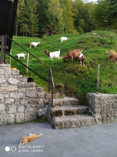 Apartamento The Bears Lair