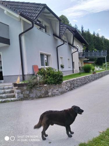 Apartamento Heron's Nest