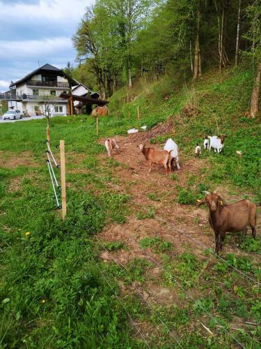 Apartamento Heron's Nest