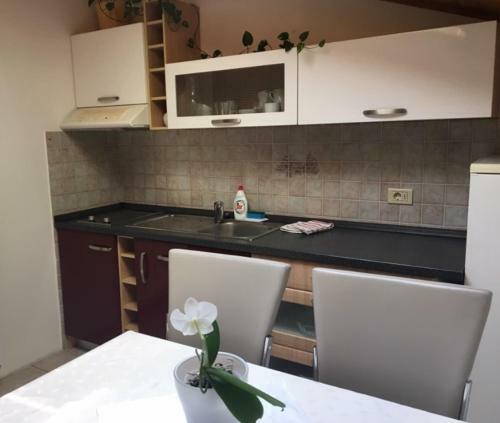 Villa Saline Apartments Portoro?