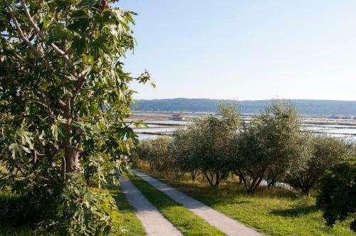 Villa Saline Apartments Portoro?