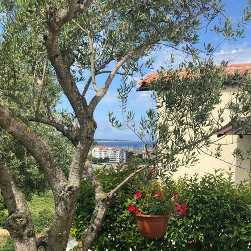 Apartamentos Residence Villa Fiore Portoro?