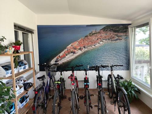 Apartma Soline Se?a