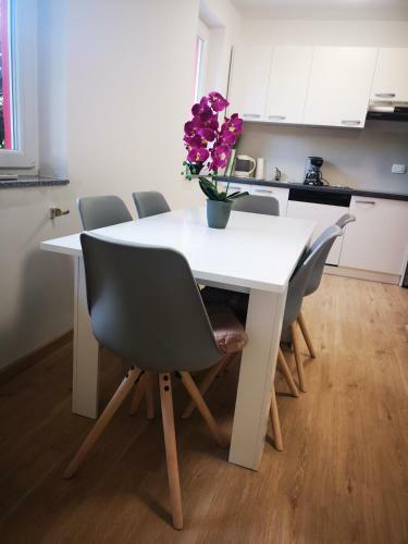 Apartments Franca