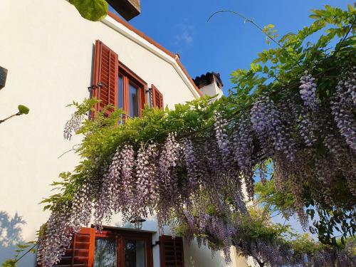 Apartamento Vila Rosa