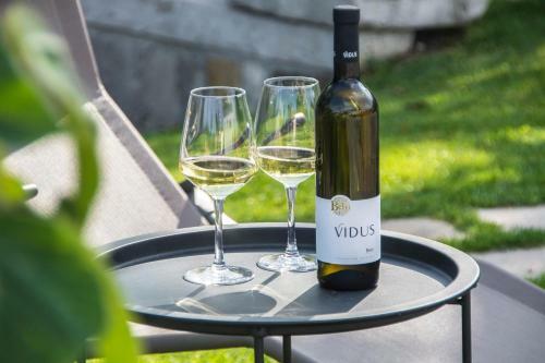 Apartment Vidus Wine Estate