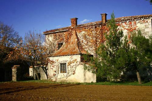 Apartment Vidus Wine Estate