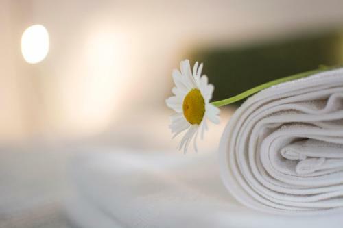 Apartment Vidus Wine Estate