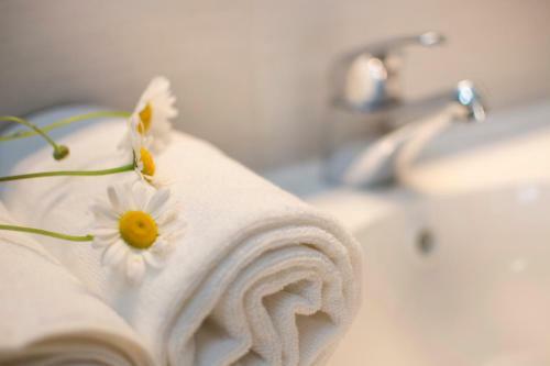 Apartment Vidus Wine Estate