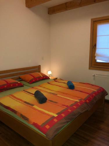 Apartmaji Zlata Lisi?ka