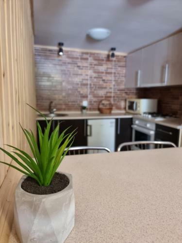 Apartamento Kvartura Z Dvorukom