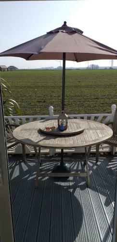 The Sun Trap @ Bridlington's Bed & Bowl Beach Breaks