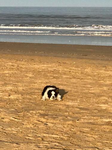 The Sun Trap @ Bridlington's Bed & Bowl Beach Breaks