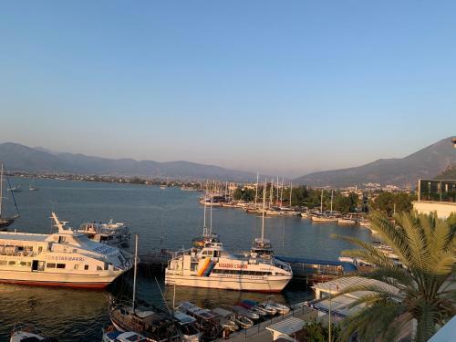 Exclusive Terrace Suite At Marina