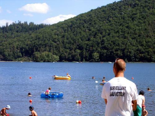 Hotel H�tel Domaine Du Lac Chambon
