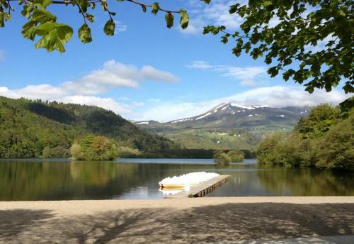 Hotel H�tel Domaine Du Lac Chambon