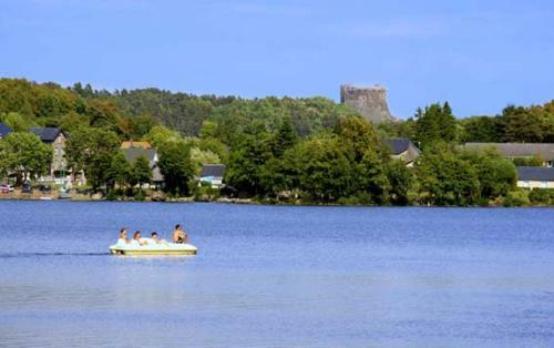 Hotel H�tel Domaine Du Lac Chambon
