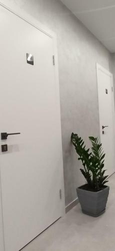 Citylife Boutique Hotel