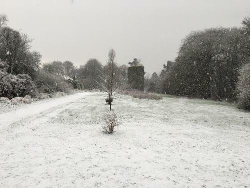 Agroturismo Ballylough House
