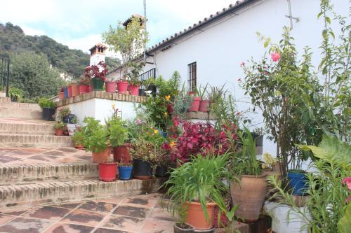 Apartamentos Rurales Jardines Del Visir