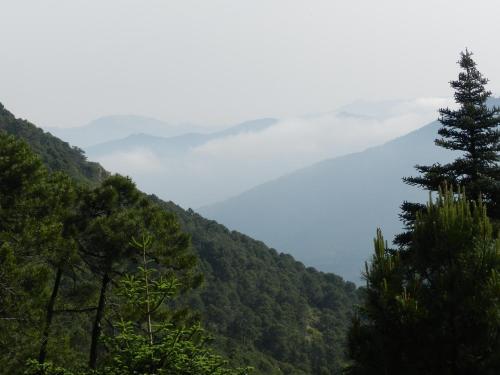 Apartamentos Rurales Jardines Del Visir