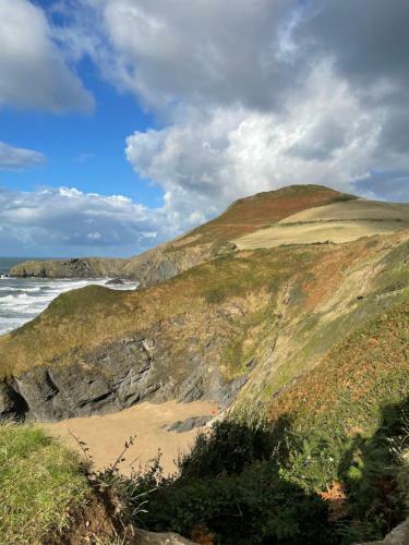 Bed & Breakfast Noyadd Trefawr