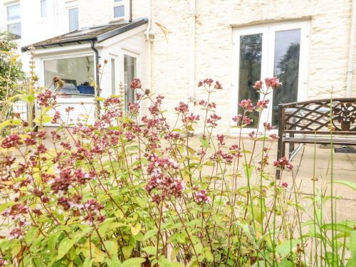 2 Fern Terrace