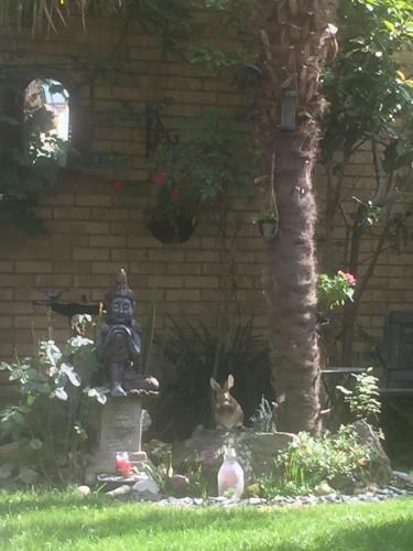 Canterbury Homestay Ensuite