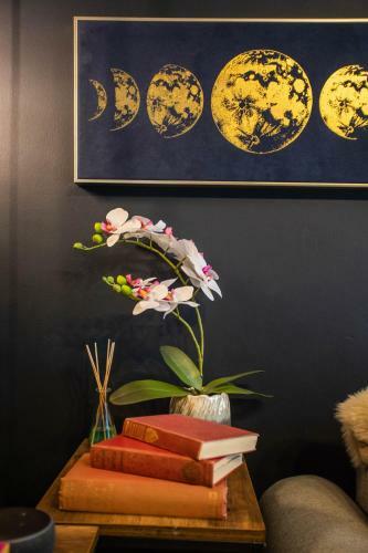 The Nest Canterbury -central-ultra Wifi