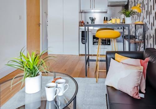 Classic Studio Apartment