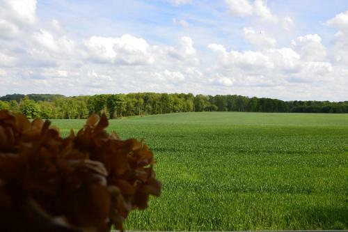 Bed & Breakfast La Grange Des Marettes